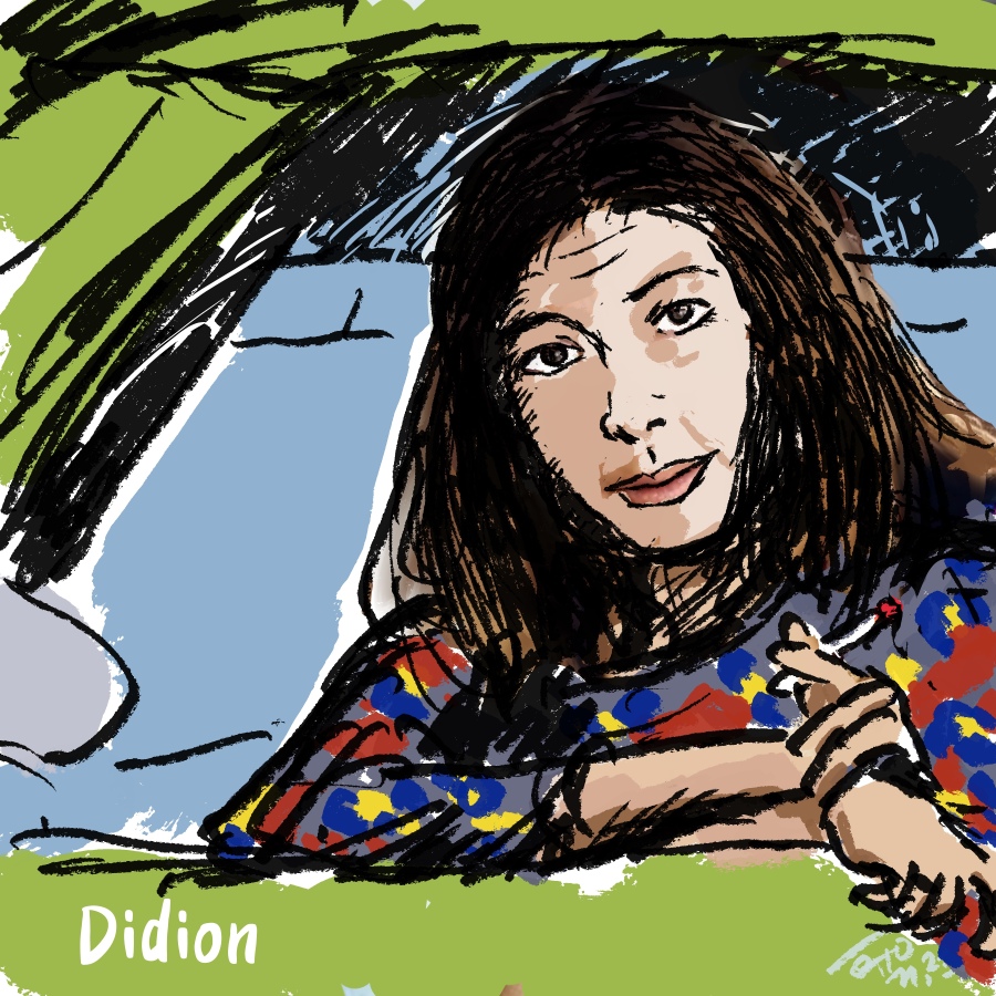 The White Album (Didion, not The Beatles)